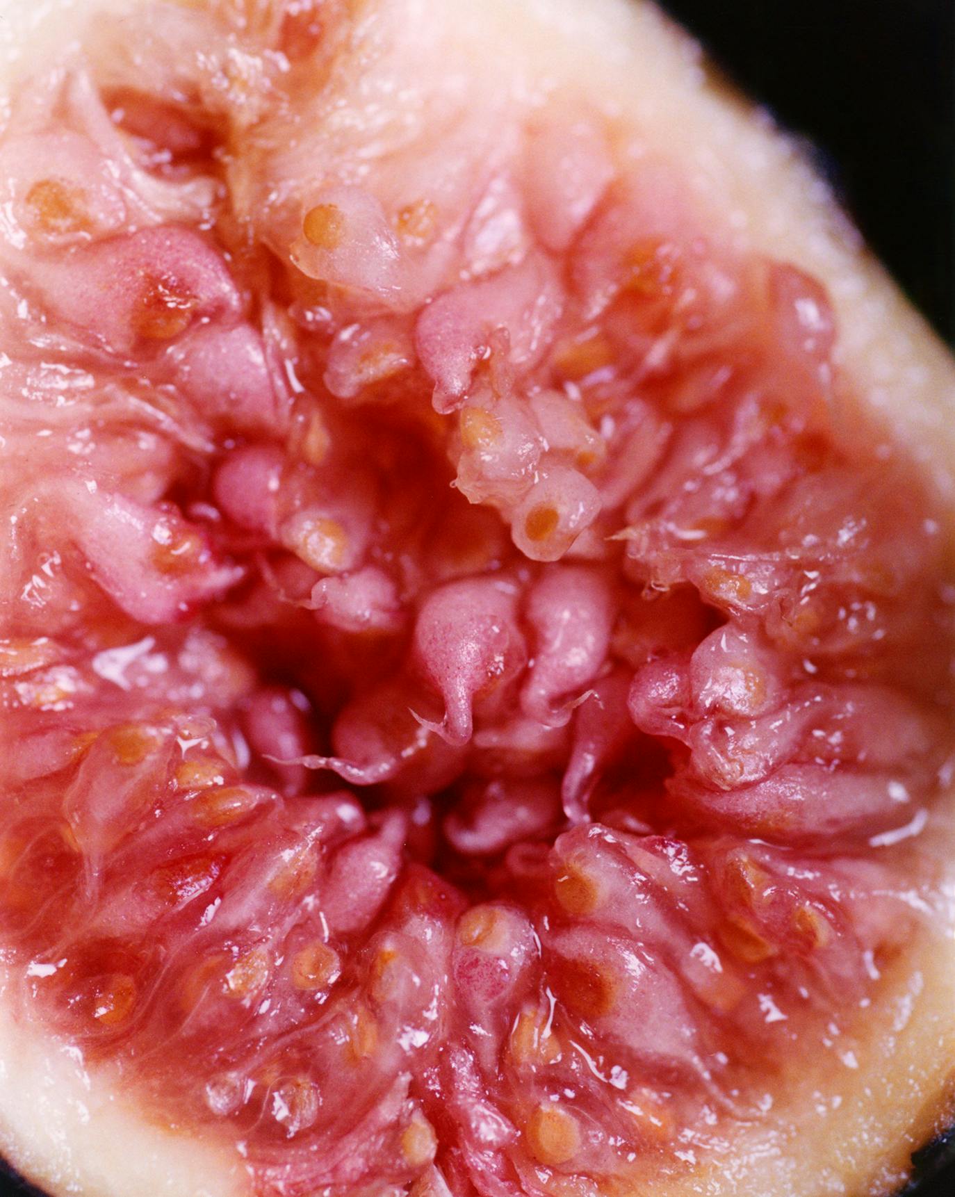 sandstone body spritz