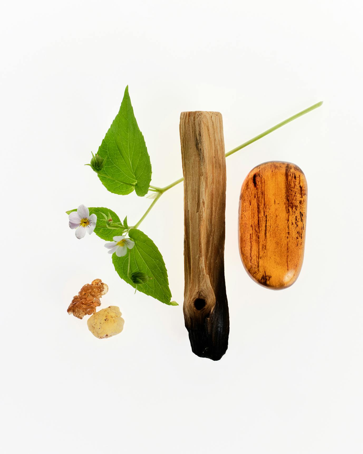 100 ml | Glossier You Doux is a soft and serene woody blend. | Glossier You Doux is a soft and serene woody blend. 
