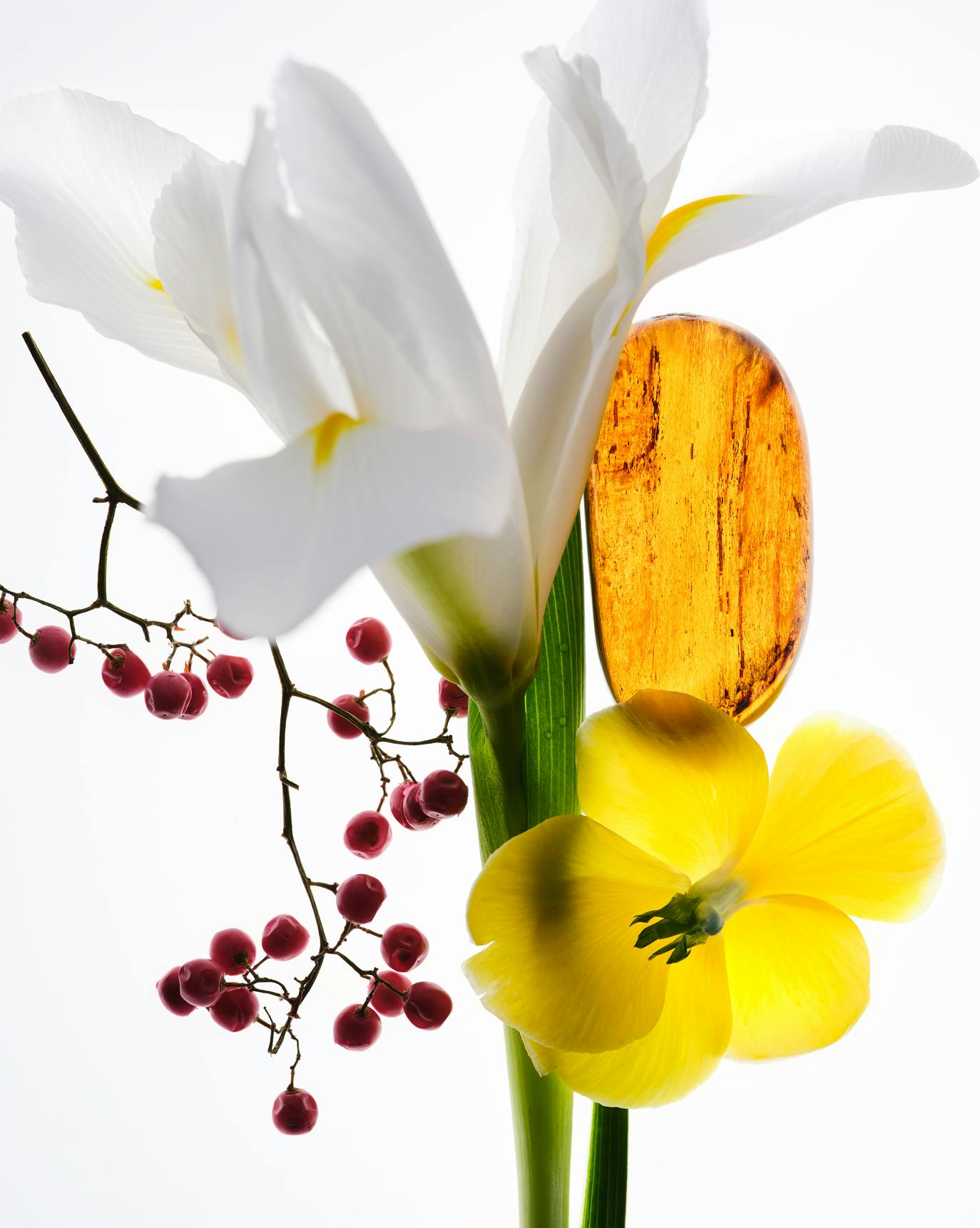 creme de you + spritz