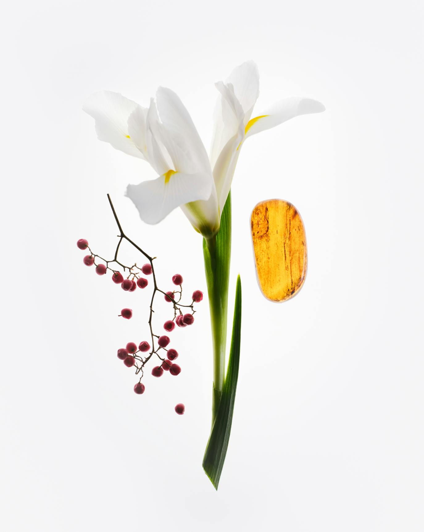 glossier you hand cream