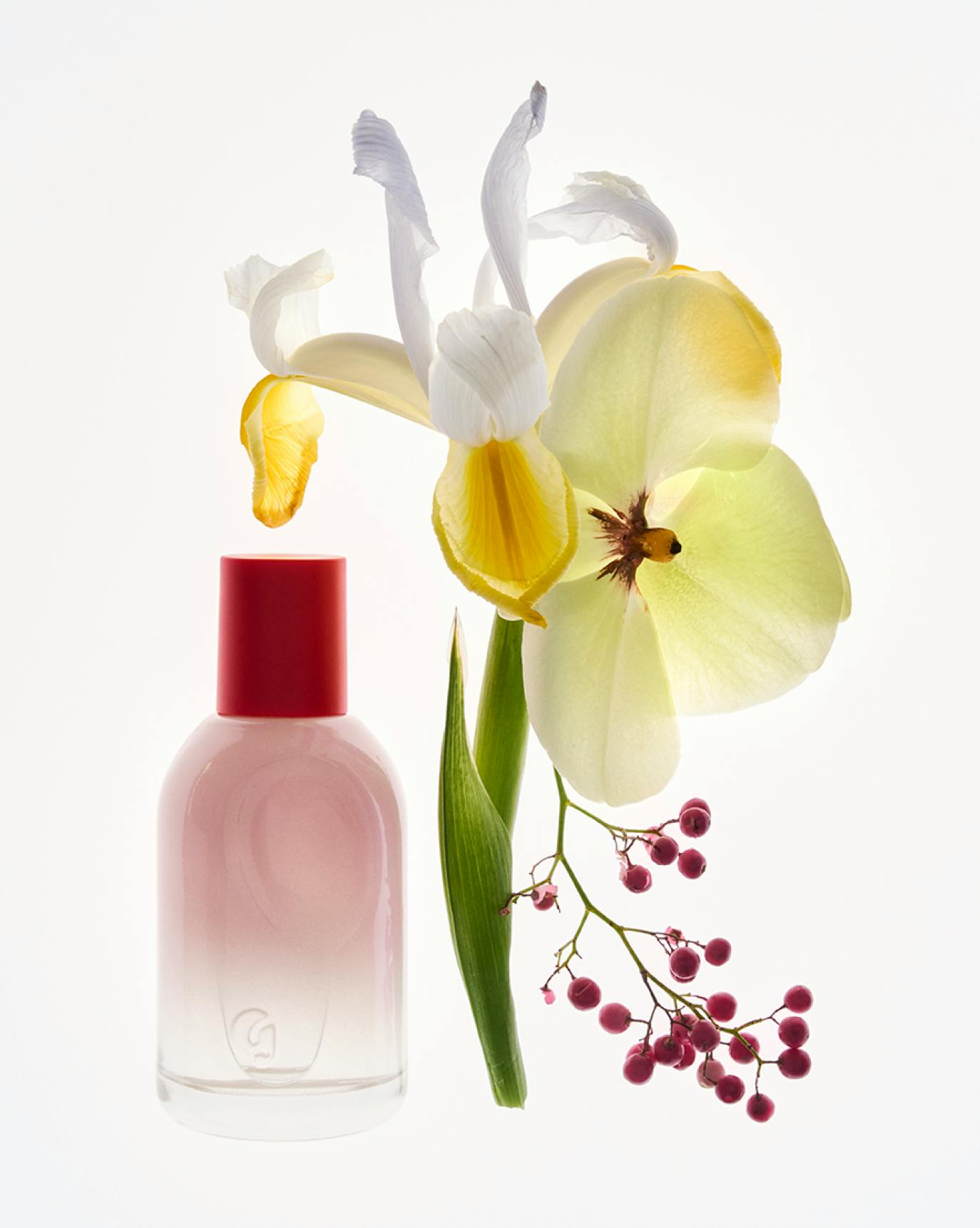 Glossier You is soft, familiar + warm.