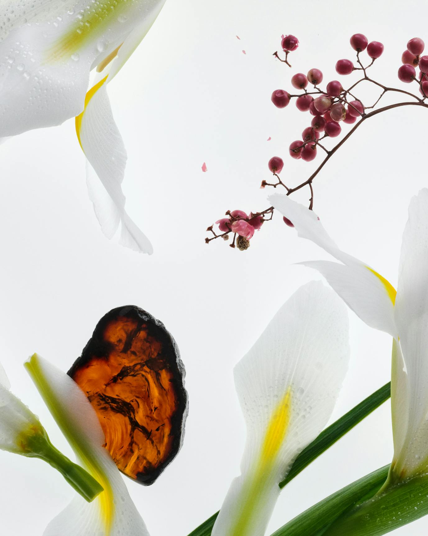 glossier you 50 ml + 8 ml