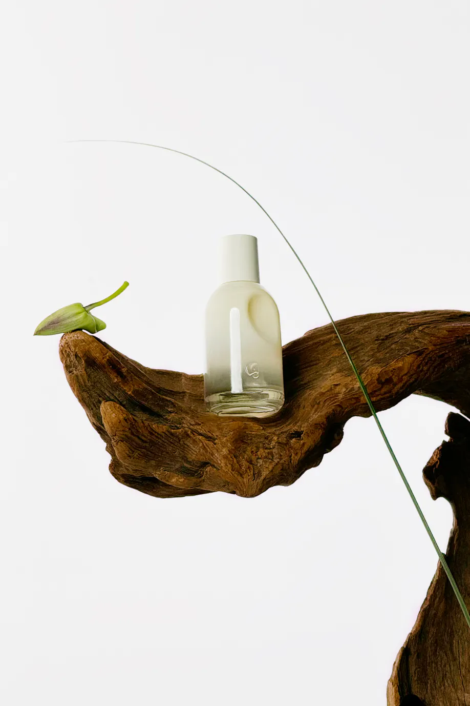Glossier