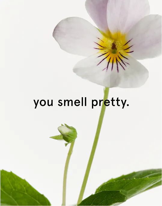 Glossier
