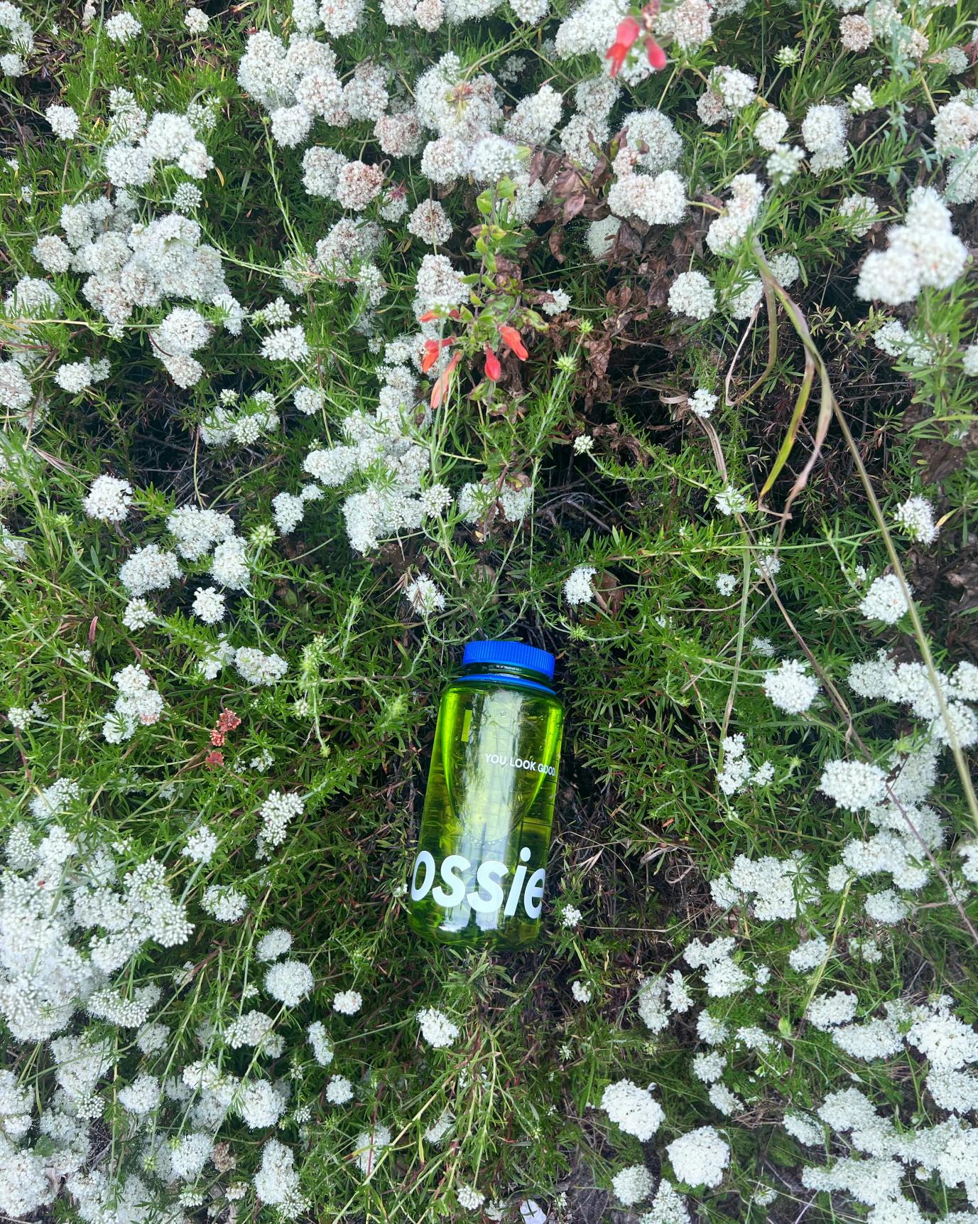 Water Bottle – Glossier
