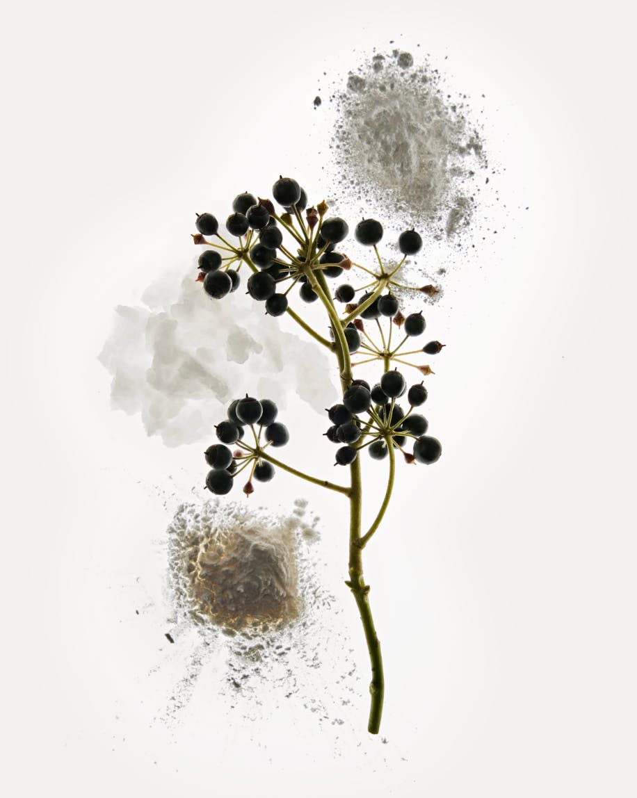 Deodorant features key ingredients like Superfruit Elderberry Extract, Magnesium Hydroxide, and Potato Starch.