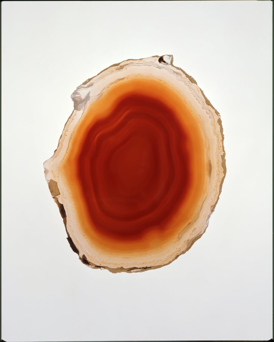 Inspired by colors found in nature—on the beach, in our backyards—that we wish we could wear.